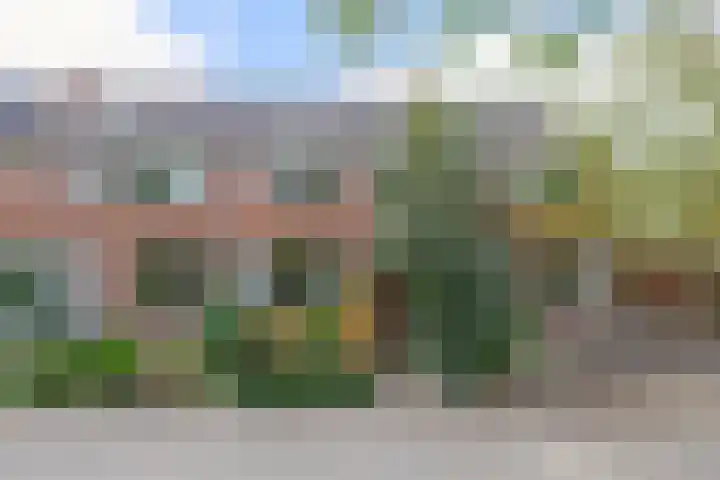 Sleedoornsingel 5 Gouda thumbnail 4