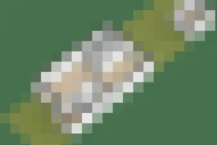 Sleedoornsingel 5 Gouda thumbnail 42