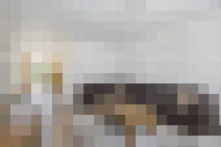Sleedoornstraat 1 Echt thumbnail 10