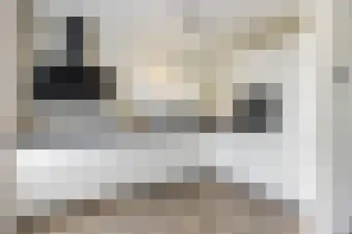Sleedoornstraat 1 Echt thumbnail 17