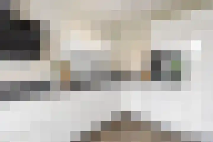 Sleedoornstraat 1 Echt thumbnail 18