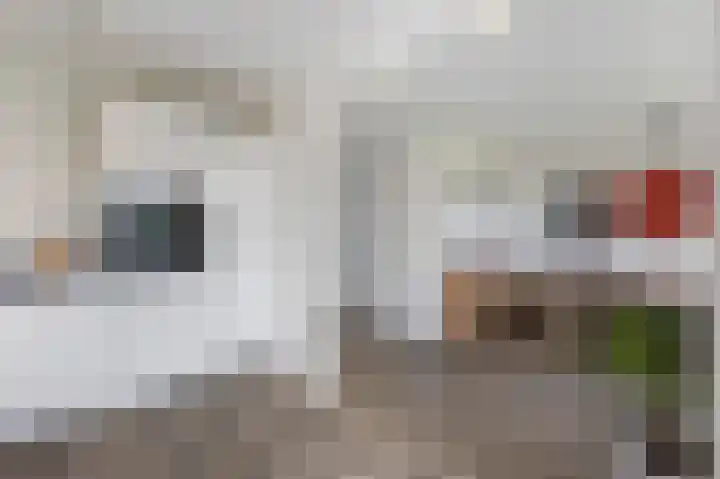 Sleedoornstraat 1 Echt thumbnail 19
