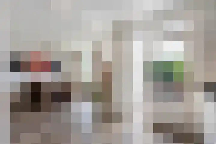 Sleedoornstraat 1 Echt thumbnail 20