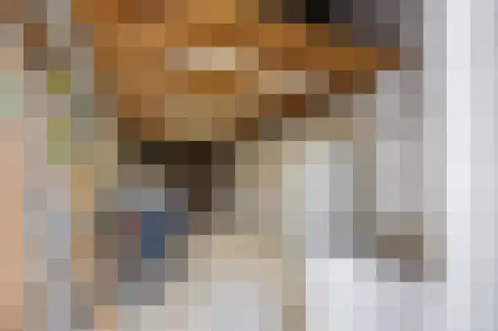 Sleedoornstraat 1 Echt thumbnail 21
