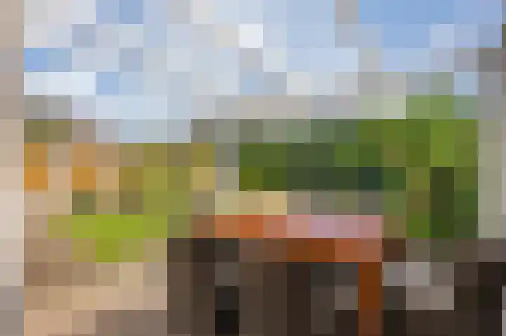 Sleedoornstraat 1 Echt thumbnail 22