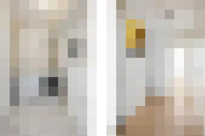 Sleedoornstraat 1 Echt thumbnail 23