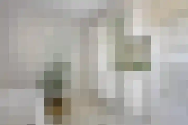 Sleedoornstraat 1 Echt thumbnail 29