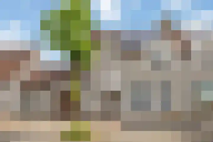 Sleedoornstraat 1 Echt thumbnail 6