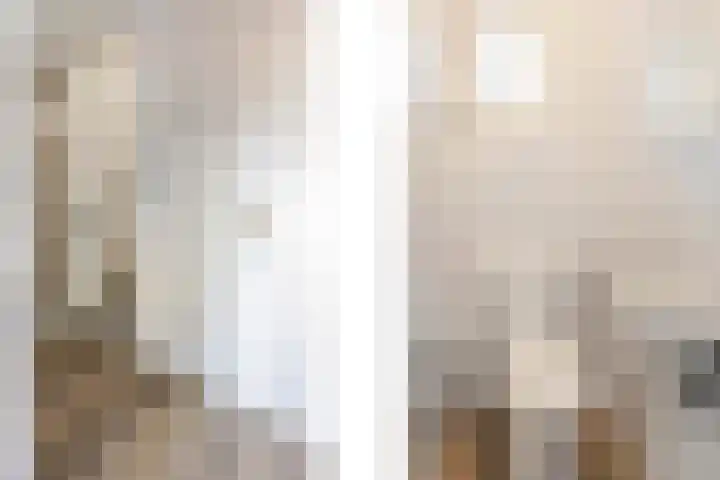 Sleedoornstraat 1 Echt thumbnail 8