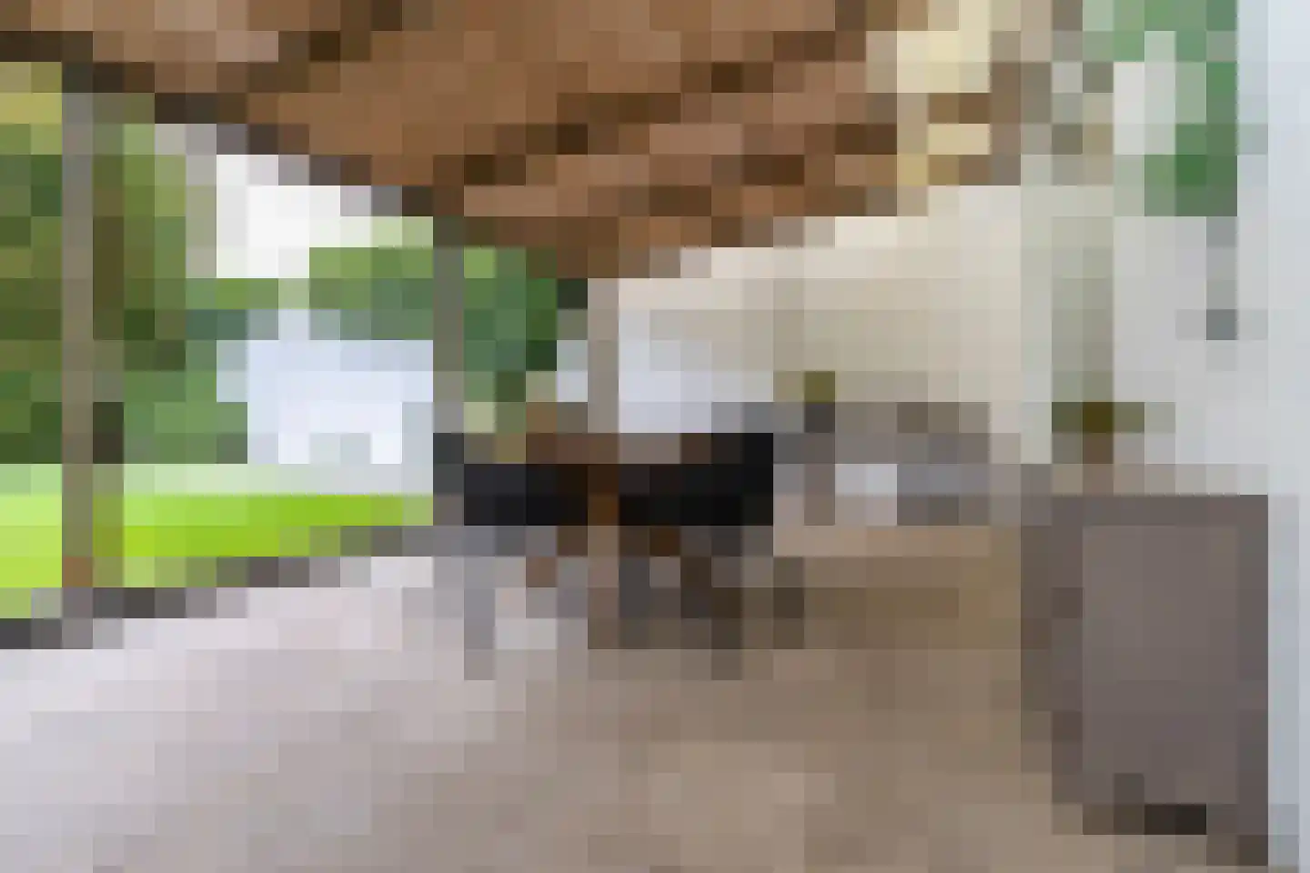 Sleedoornstraat 10 Maarheeze thumbnail 32