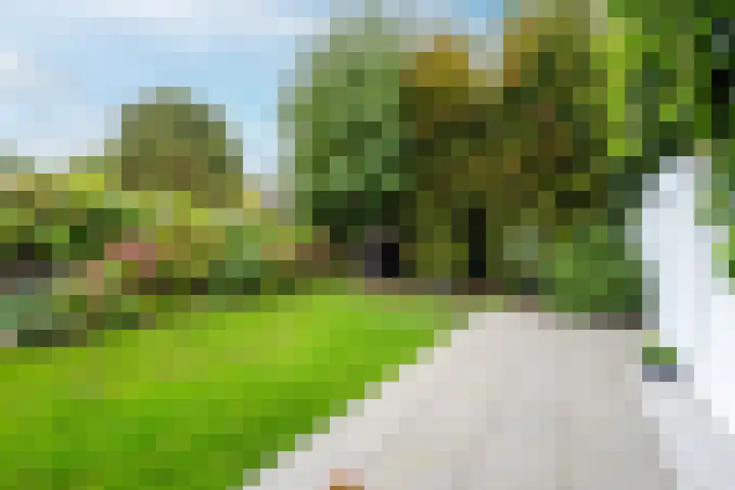 Sleedoornstraat 10 Maarheeze thumbnail 34