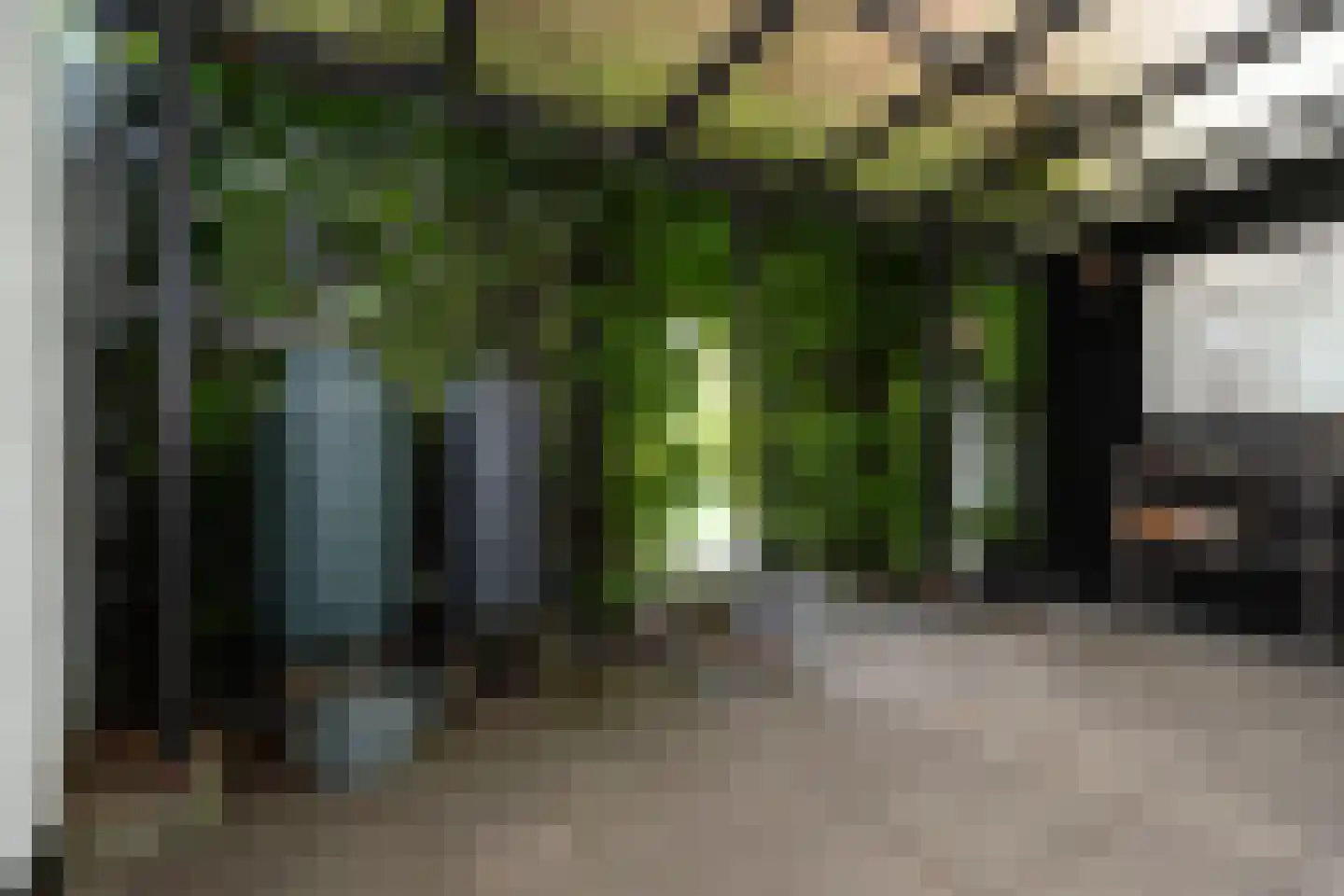 Sleedoornstraat 10 Maarheeze thumbnail 35