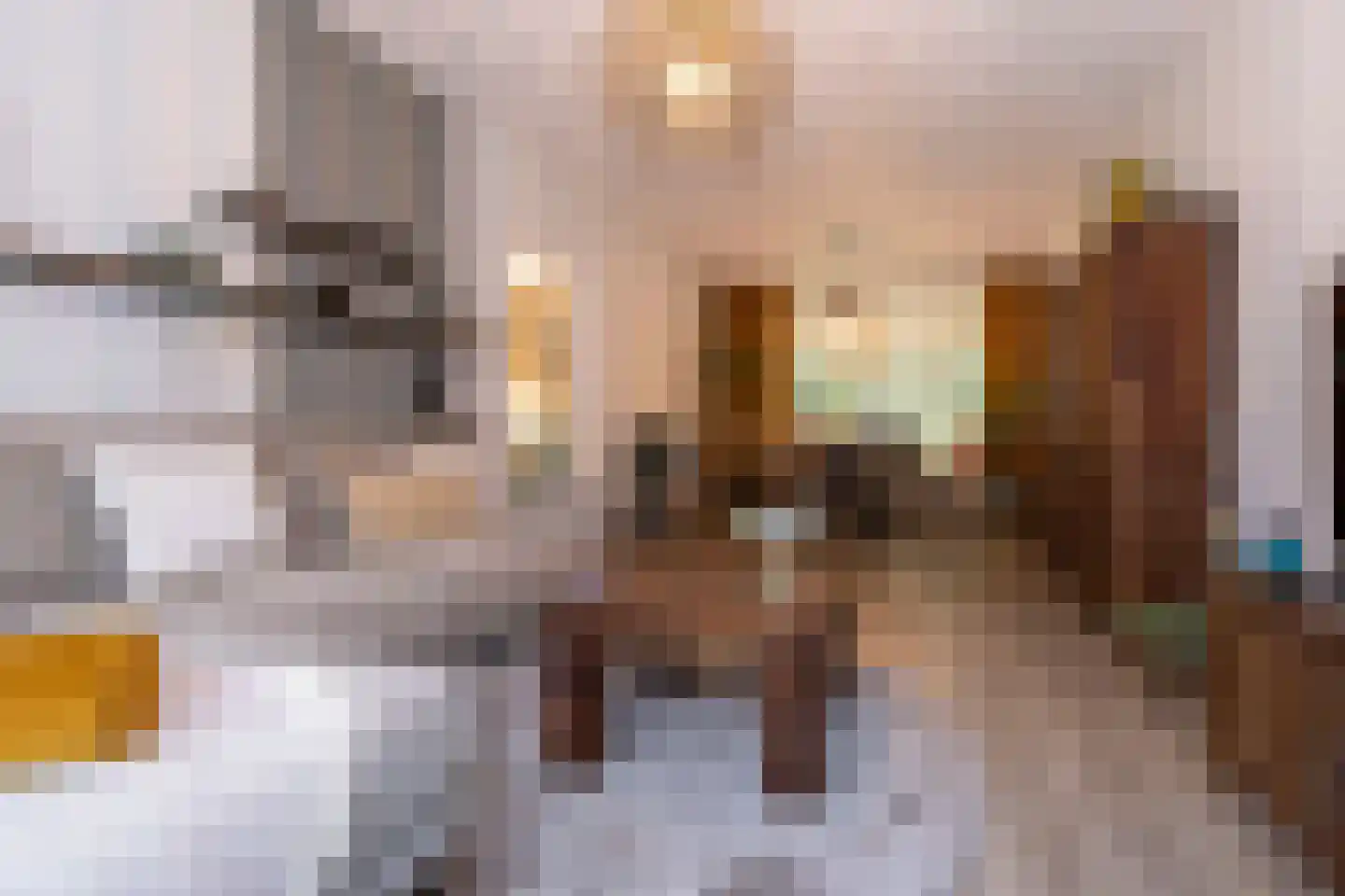 Sleedoornstraat 10 Maarheeze thumbnail 7