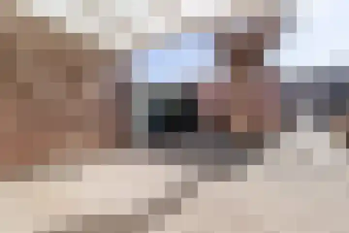 Sleedoornstraat 10 Nieuwstadt thumbnail 24