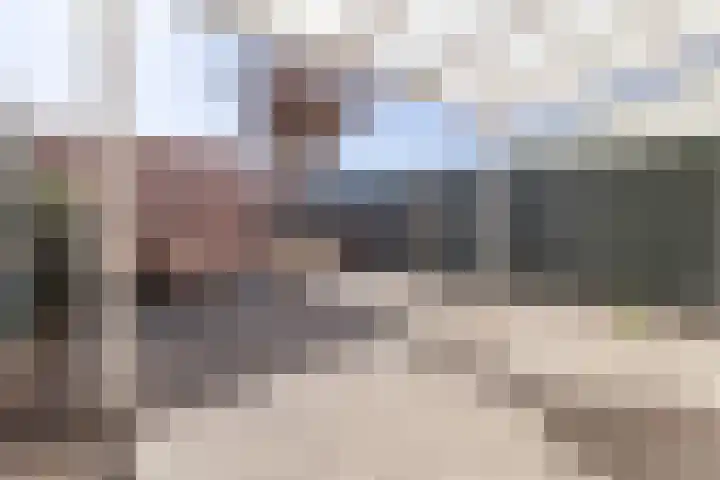 Sleedoornstraat 10 Nieuwstadt thumbnail 25