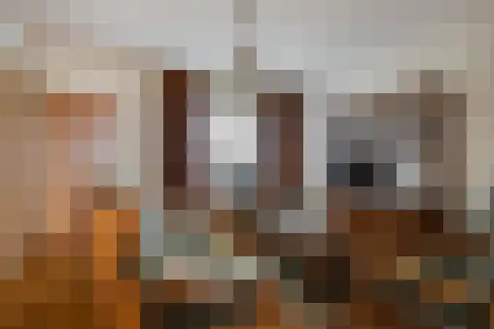 Sleedoornstraat 12 Nieuwstadt thumbnail 12