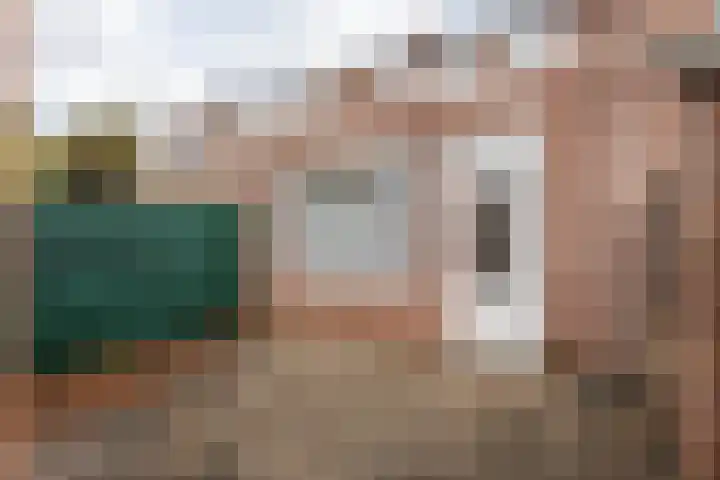 Sleedoornstraat 12 Nieuwstadt thumbnail 23