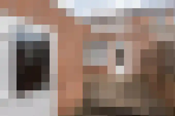 Sleedoornstraat 12 Nieuwstadt thumbnail 25