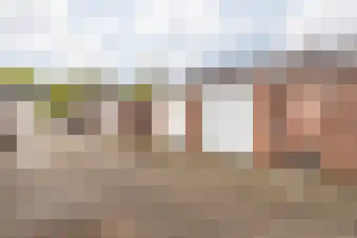 Sleedoornstraat 12 Nieuwstadt thumbnail 27