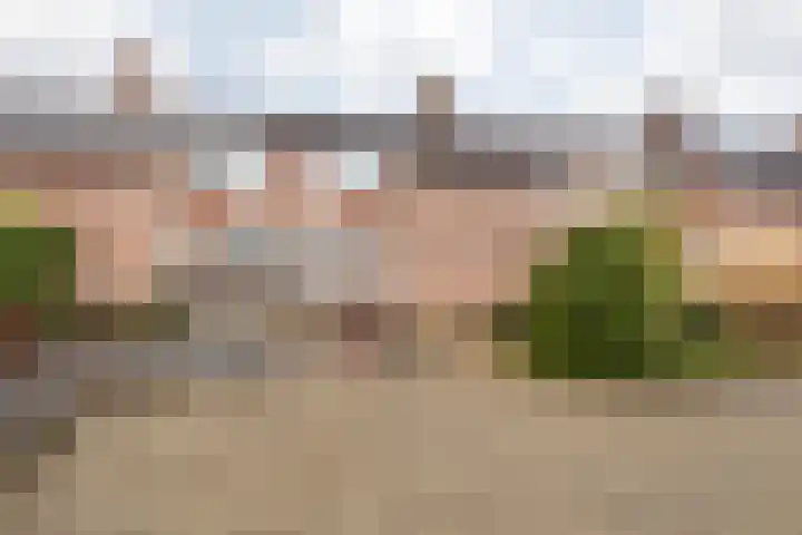 Sleedoornstraat 12 Nieuwstadt thumbnail 7