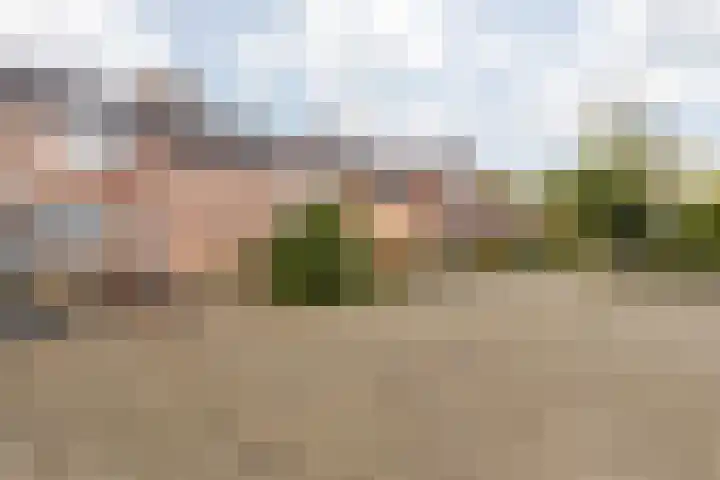 Sleedoornstraat 12 Nieuwstadt thumbnail 8