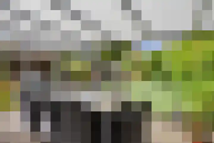 Sleedoornstraat 14 Maarheeze thumbnail 5
