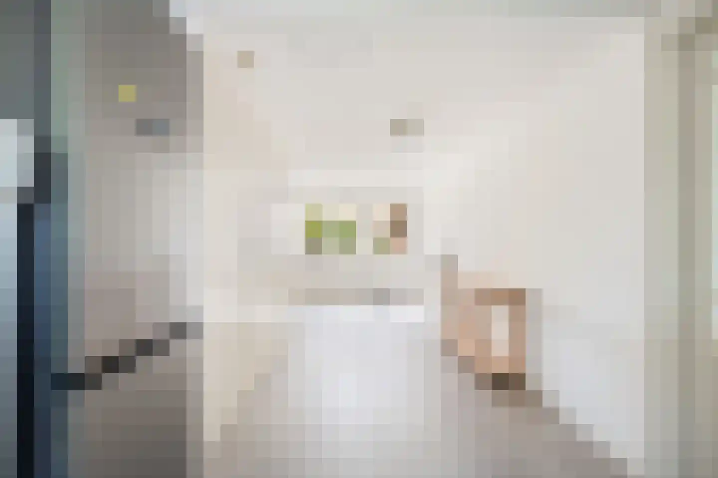 Sleedoornstraat 18 Lichtenvoorde thumbnail 10