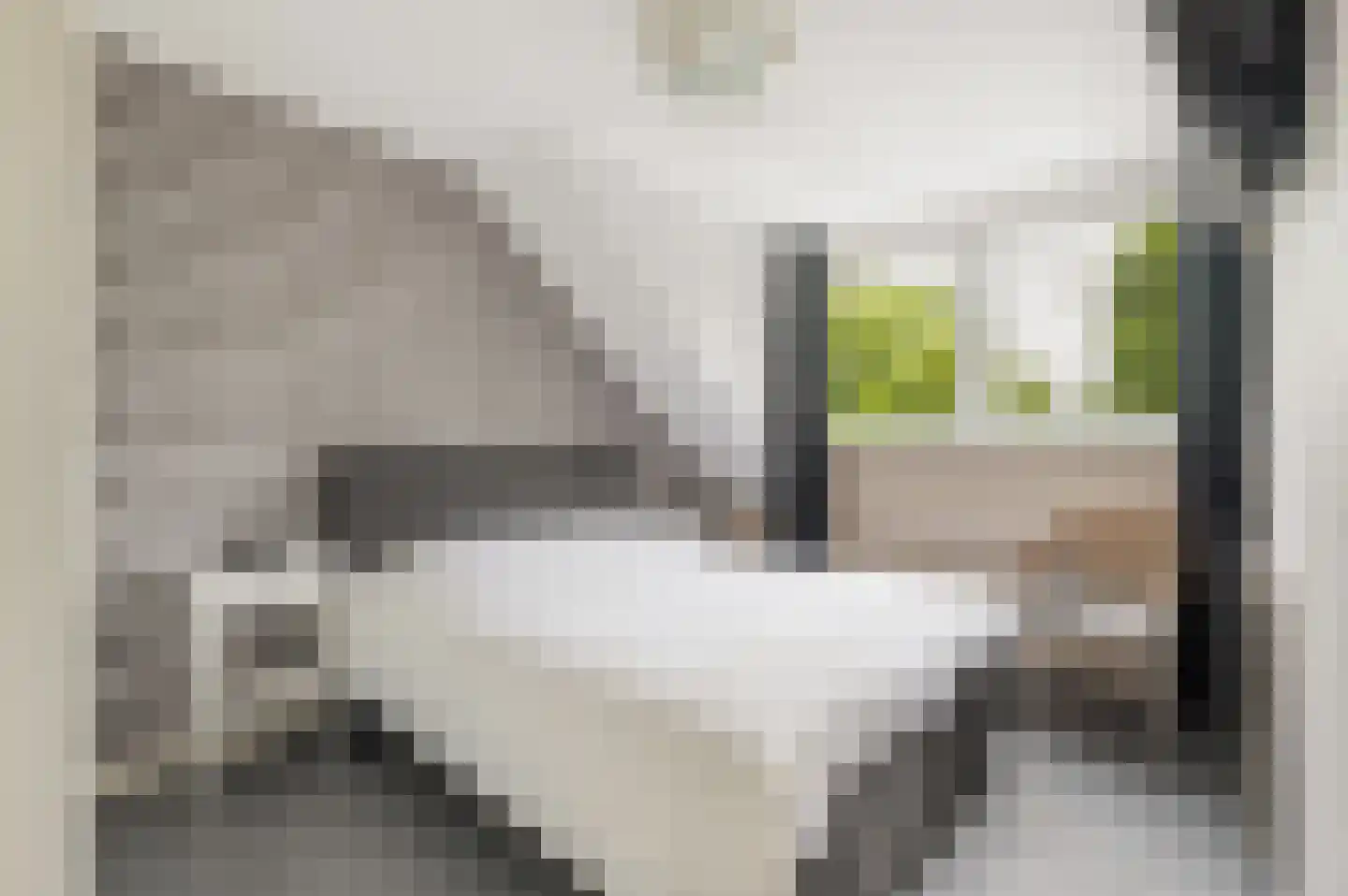 Sleedoornstraat 18 Lichtenvoorde thumbnail 14