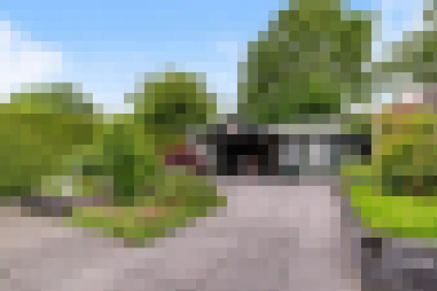 Sleedoornstraat 18 Lichtenvoorde thumbnail 20