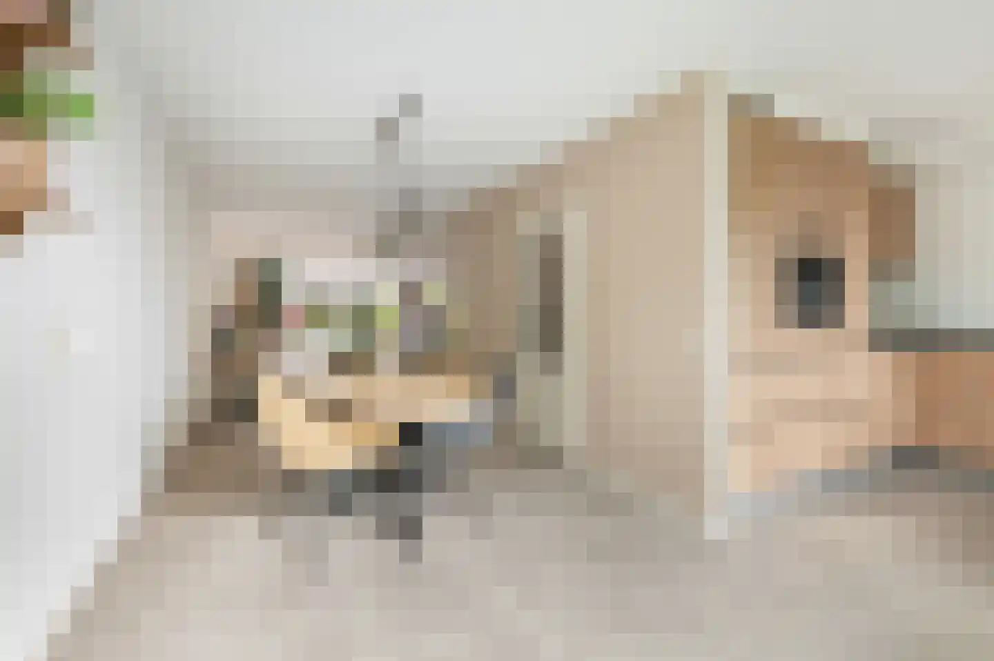 Sleedoornstraat 18 Lichtenvoorde thumbnail 7