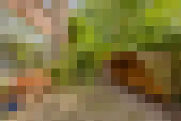 Sleedoornstraat 21 Nijmegen foto 2