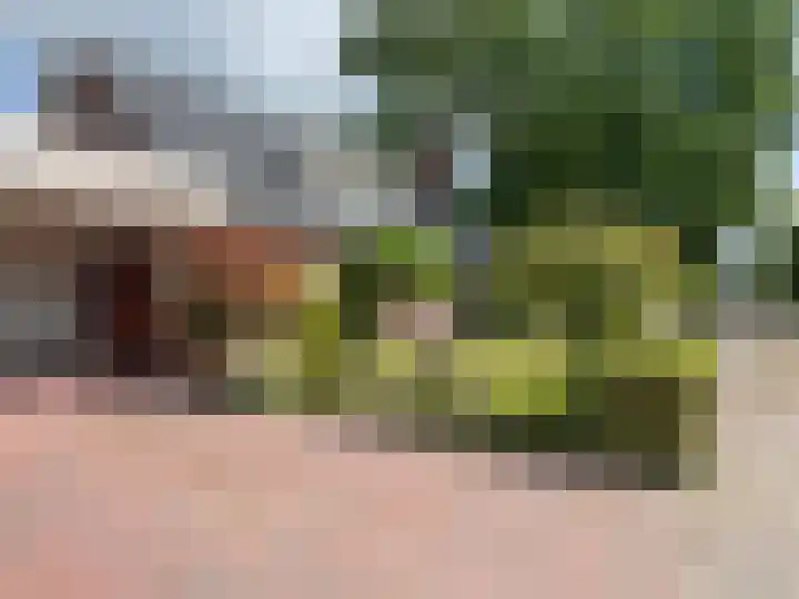 Sleedoornstraat 26 Dalen thumbnail 16