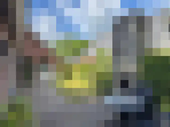 Sleedoornstraat 26 Dalen thumbnail 21