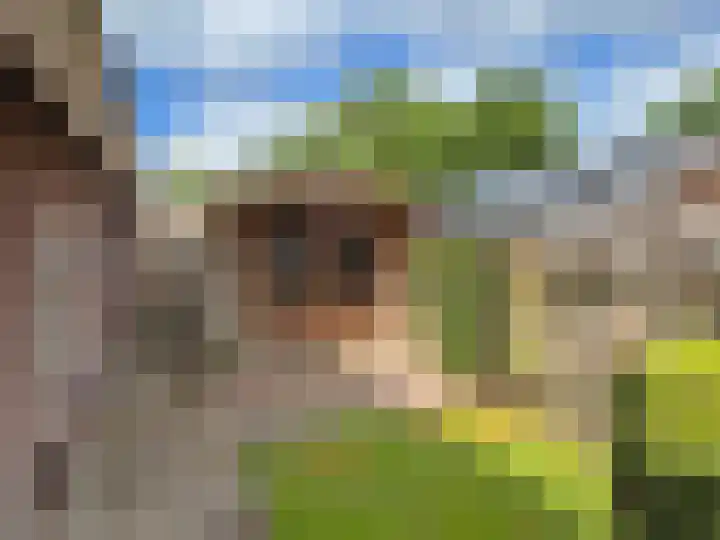 Sleedoornstraat 26 Dalen thumbnail 23