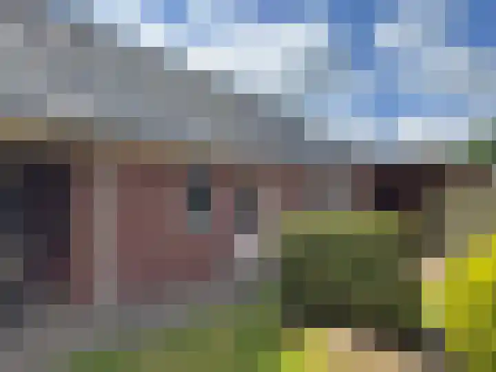Sleedoornstraat 26 Dalen thumbnail 25