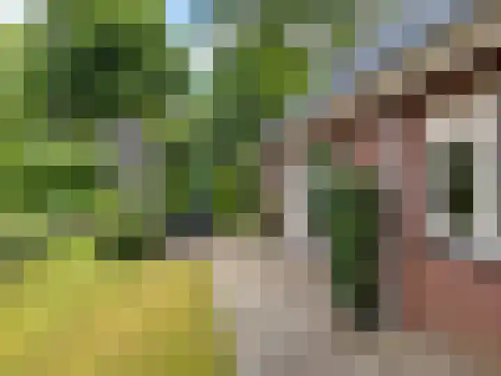 Sleedoornstraat 26 Dalen thumbnail 27