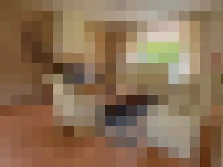 Sleedoornstraat 26 Dalen thumbnail 30