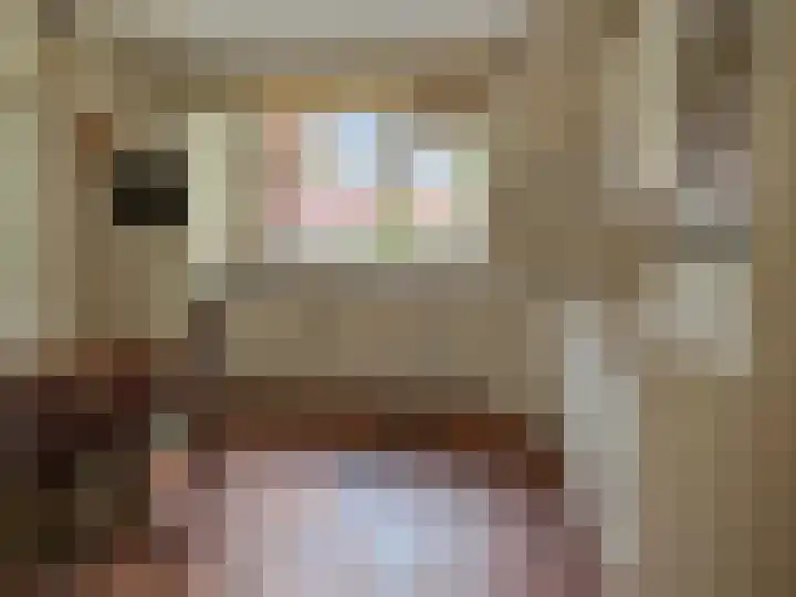 Sleedoornstraat 26 Dalen thumbnail 33