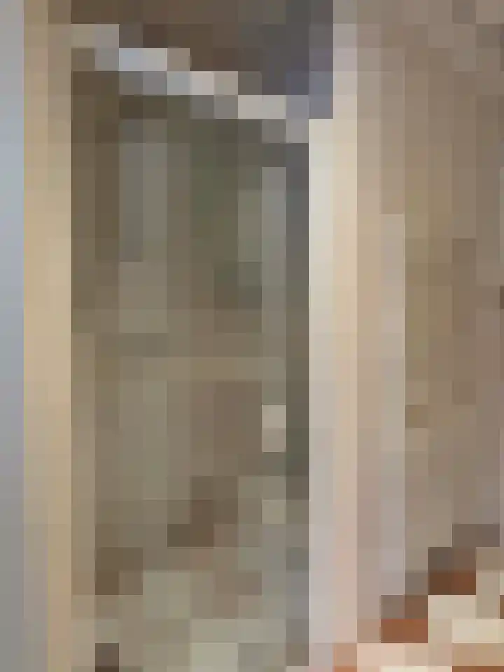 Sleedoornstraat 26 Dalen thumbnail 39