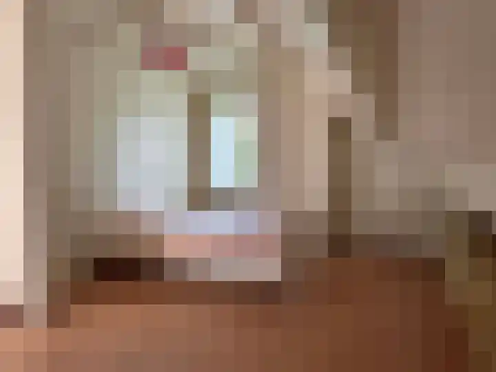 Sleedoornstraat 26 Dalen thumbnail 44