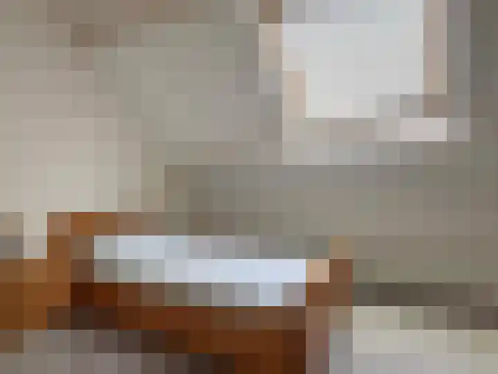 Sleedoornstraat 26 Dalen thumbnail 45