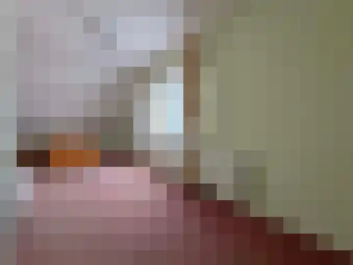 Sleedoornstraat 26 Dalen thumbnail 47