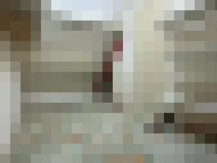 Sleedoornstraat 26 Dalen thumbnail 49