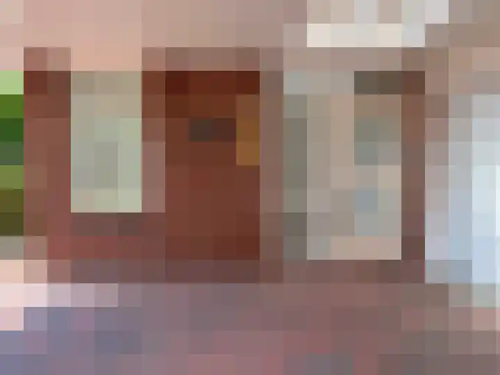 Sleedoornstraat 26 Dalen thumbnail 56