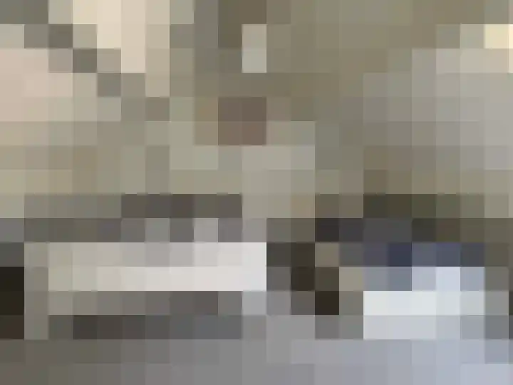 Sleedoornstraat 26 Dalen thumbnail 65
