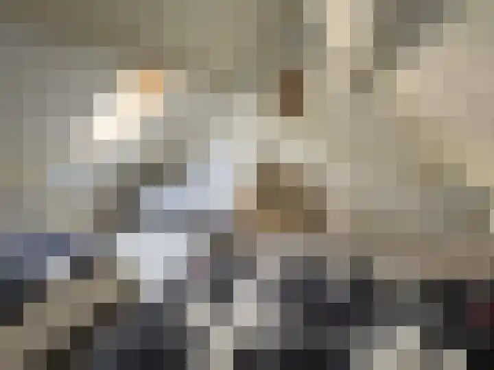 Sleedoornstraat 26 Dalen thumbnail 66