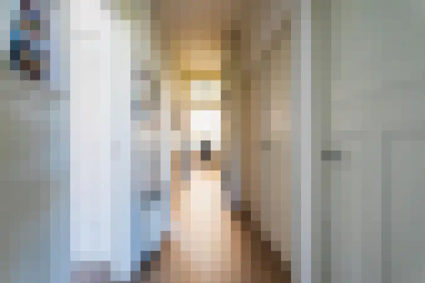 Sleedoornstraat 52 Den Haag thumbnail 17