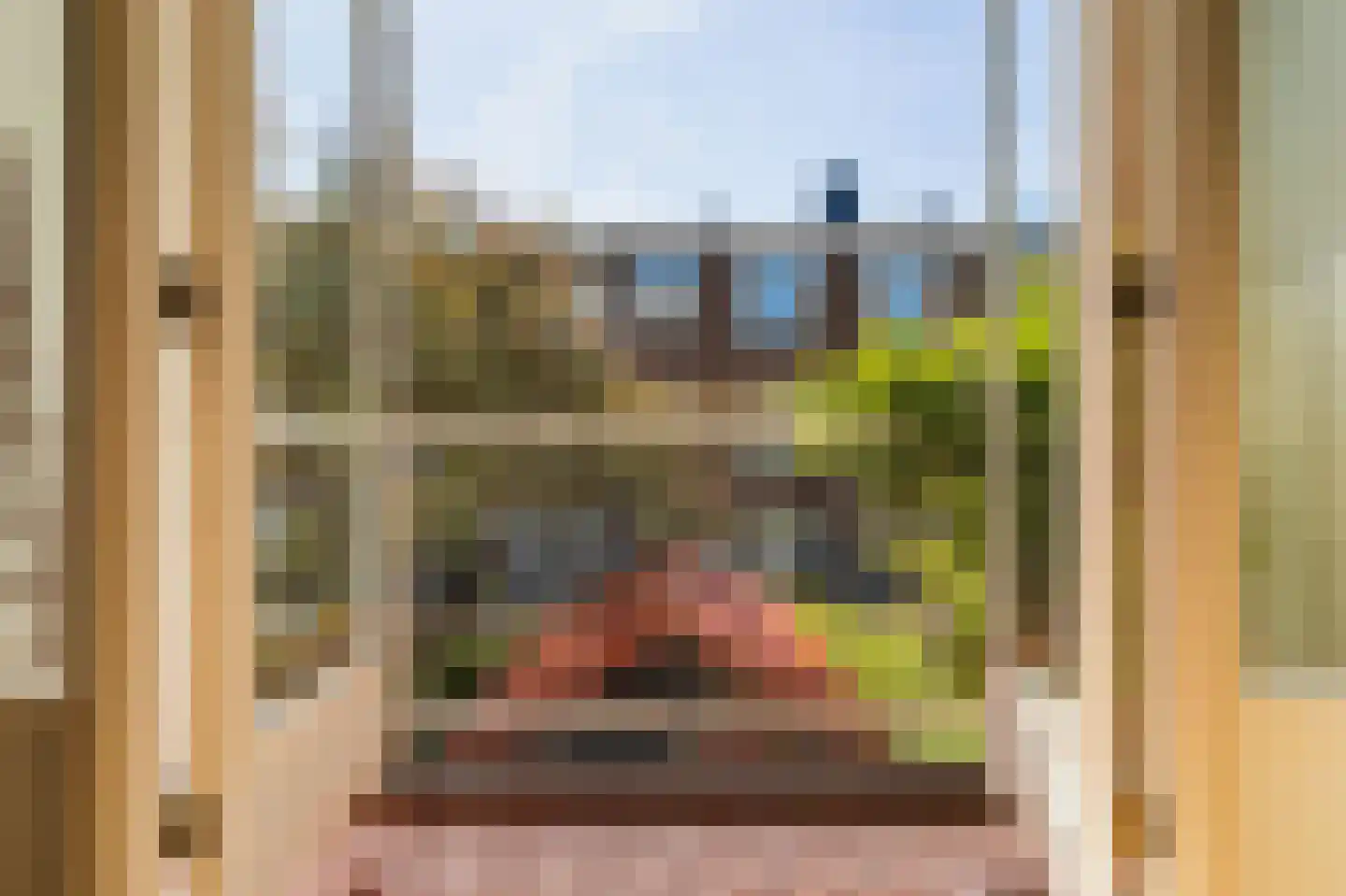 Sleedoornstraat 52 Den Haag thumbnail 20