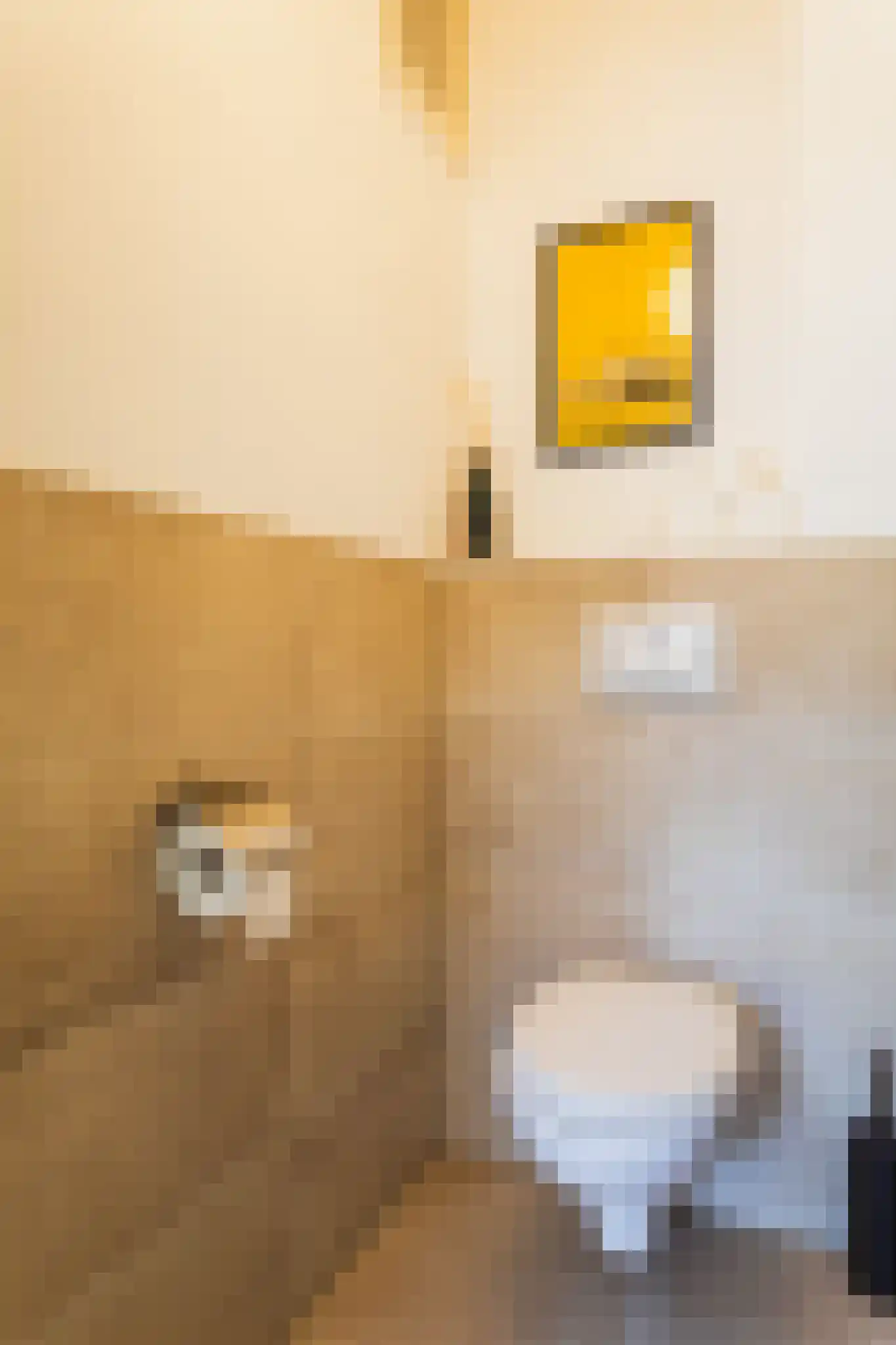 Sleedoornstraat 52 Den Haag thumbnail 31