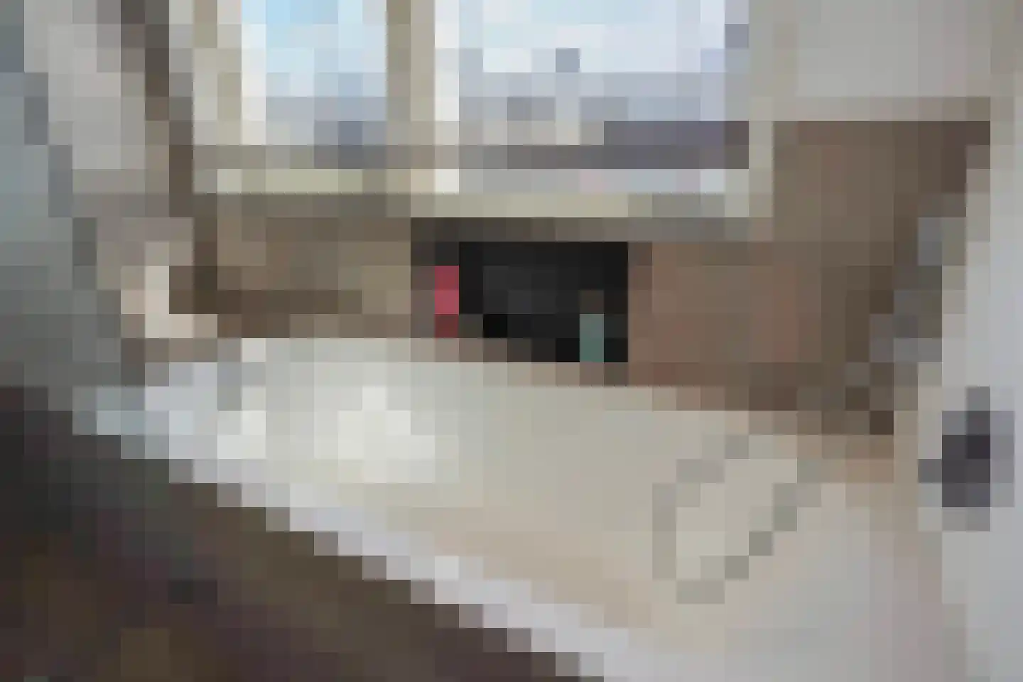 Sleedoornstraat 54 Den Haag thumbnail 21